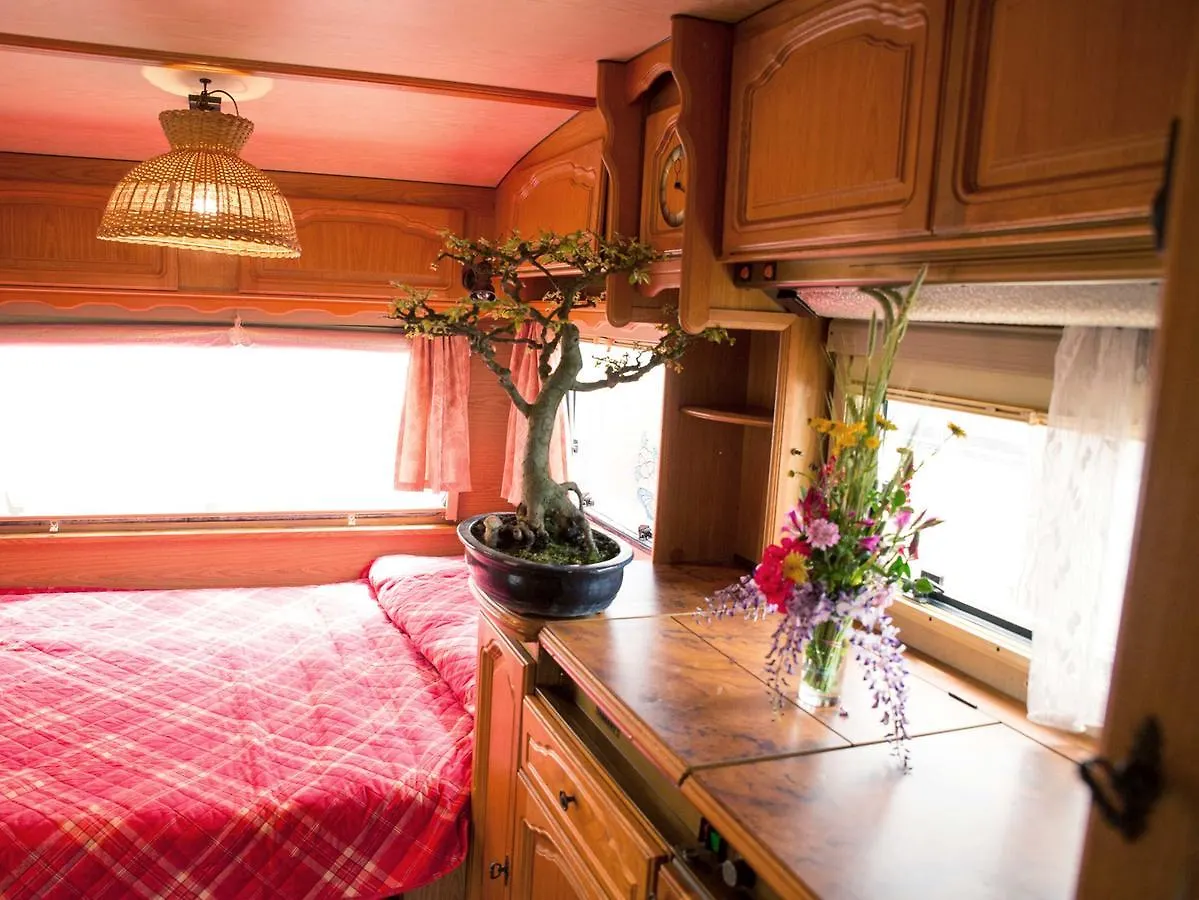 캠프장 Camping Cala D'Ostia 풀라